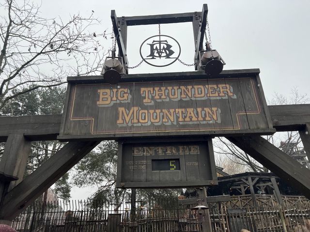 【クリスマス】ディズニーランドパリ
