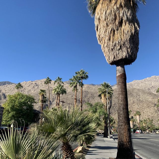Palm Springs getaway