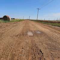 the old dirt road 