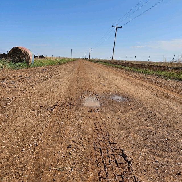 the old dirt road 