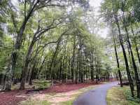 Escape to Nature in Stallings