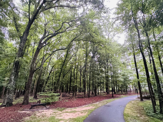 Escape to Nature in Stallings