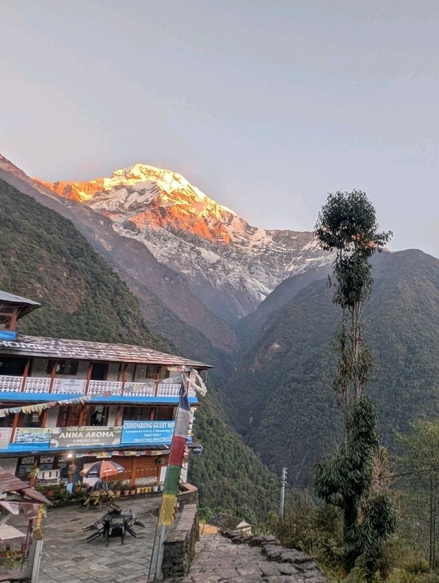 Once in a Lifetime trip to Annapurna Once in a Lifetime trip to Annapurna