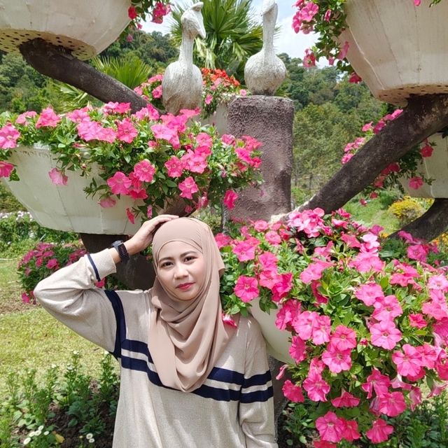 สวนไม้ดอกเมืองหนาวเบตง (สวนหมื่นบุปผา)