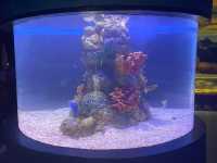 Manila Ocean Park 🐟