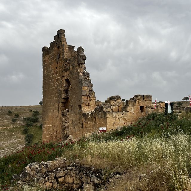 トルコ東部のローマ遺跡 Zerzevan Castle