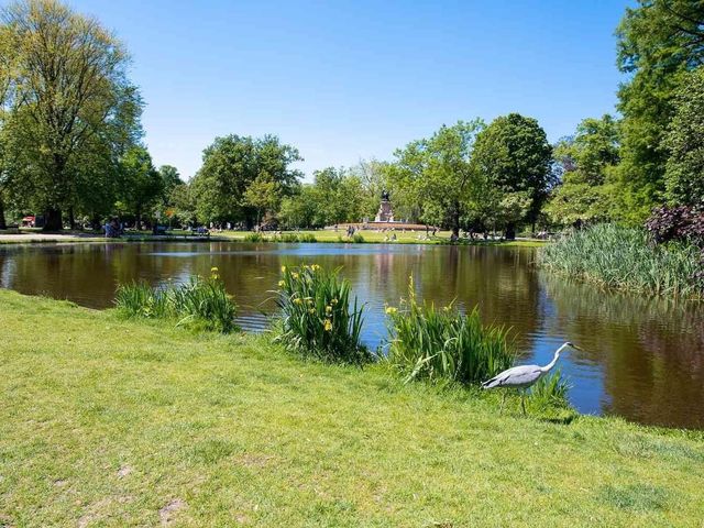 The biggest public park Vondelpark 🌴 The biggest public park Vondelpark 🌴