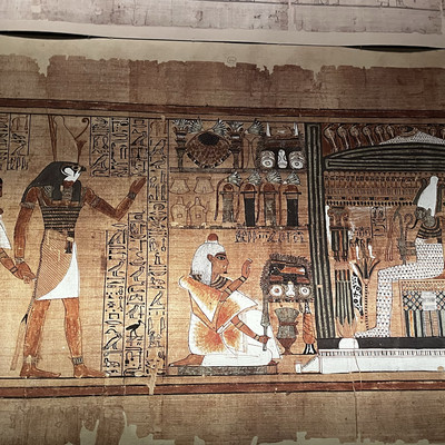 充実した古文書陳列室（アレクサンドリア図書館） | Trip.com