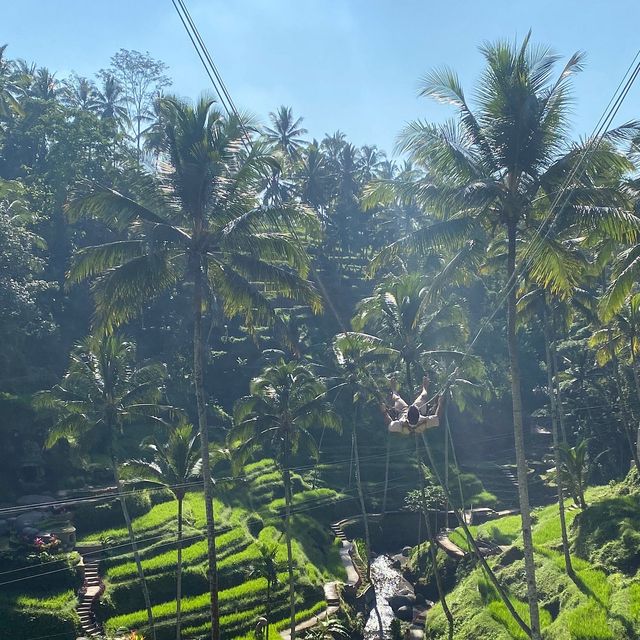 Bali's Tegallalang Rice Terraces