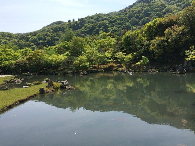 Autumn Splendor in Kyoto