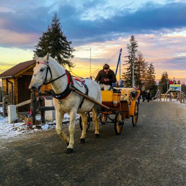 Exploring Zakopane, Poland 🇵🇱