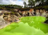 Revel in Rotorua: A Geothermal Wonderland