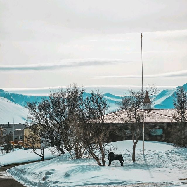 THE PICTURESQUE TOWN-SIGLUFJÖRÐUR 🇮🇸