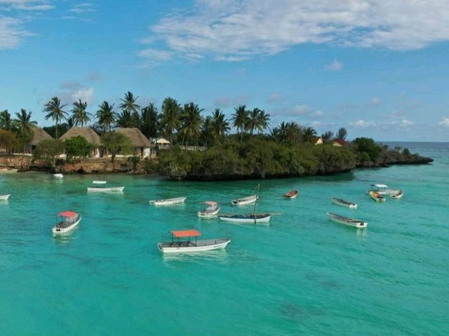 🌴 Escape to paradise in stunning Zanzibar
