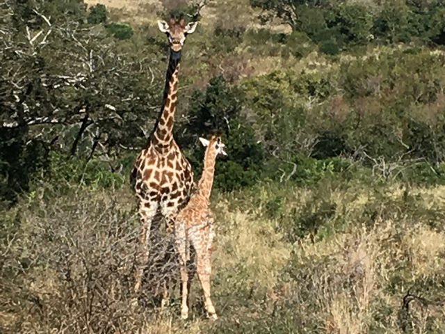 Went to see if Wakanda does exist 🇿🇦