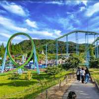 🐘姬路中央公園🦉開車穿越野生動物園區🐯