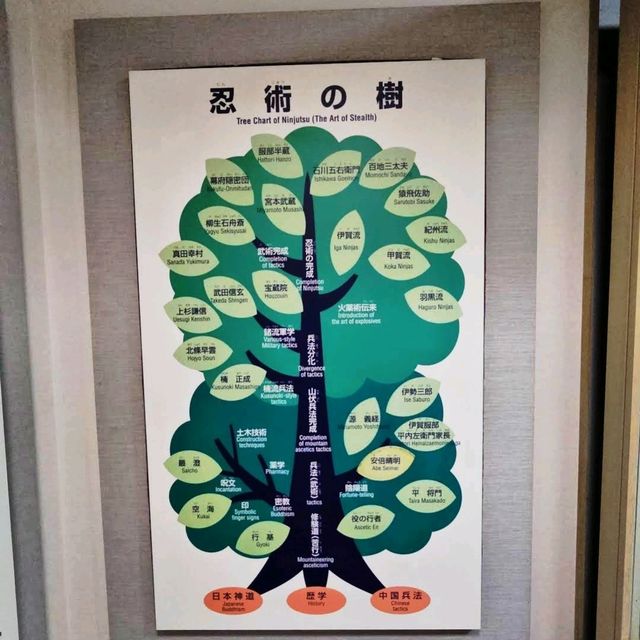 《伊賀流忍者博物館》精彩的忍者戰鬥表演🥷