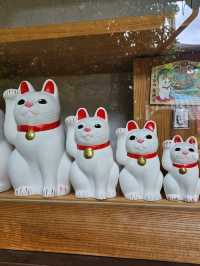 ⛩️豪德寺🐱藏有大量招財貓雕像的佛寺