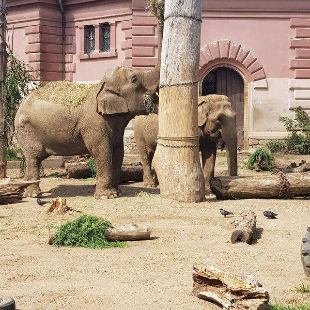 A very big zoo in Poland 🇵🇱