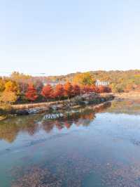 담양 관방제림 🍁