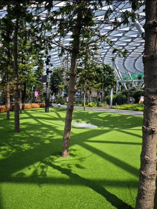 An awesome visit to canopy park 😎
