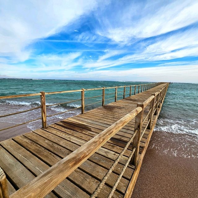 Perfect Winter Sun Seeking Escape to Sharm El Sheikh