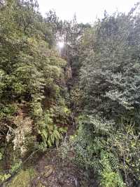 The start of the trails 