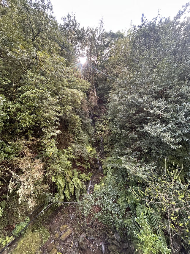The start of the trails 