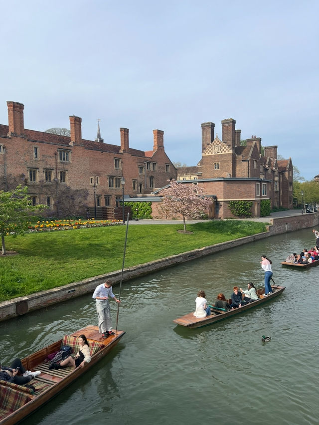 Academic Weapon in Her Soft Girl Era in Cambridge