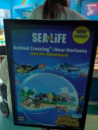 Sealife centre Manchester - Animal crossing new horizons - 
