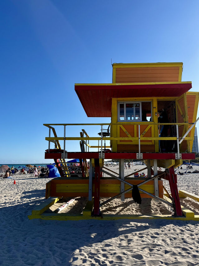 Our 3-Day Miami Beach Adventure! 🌴🌊