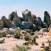🌵 Top Landmarks in Joshua Tree National Park 🏜️✨