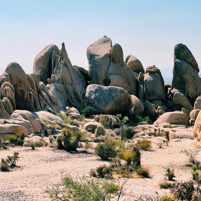 🌵 Top Landmarks in Joshua Tree National Park 🏜️✨