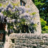 🌿 Manchester to Ladybower Wood: A Mossy Forest Escape in the Peak District
