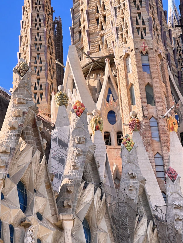 La Sagrada Familia in Barcelona is an absolute marvel! 🏰✨