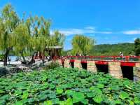 🌿 Imperial Calm at the Summer Palace 🏯⛲