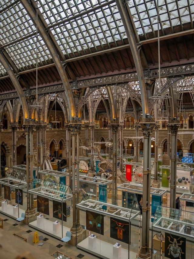 🏛️ Oxford University Museum of Natural History – Gothic Wonder & Scientific Treasure