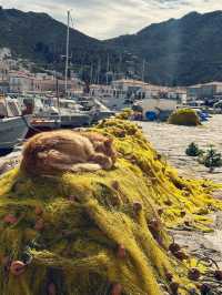 Cats, Donkeys & Crystal Seas: Hydra’s Car-Free Island Charm 🐾🐴🌊