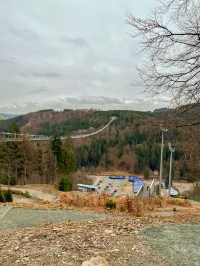 Above the trees, beyond the ordinary — welcome to Skywalk Willingen 🇩🇪🌉🌲