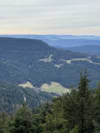 Schwarzwald: Where fairy tales are born and nature speaks in whispers of pine 🇩🇪🌲🏞️