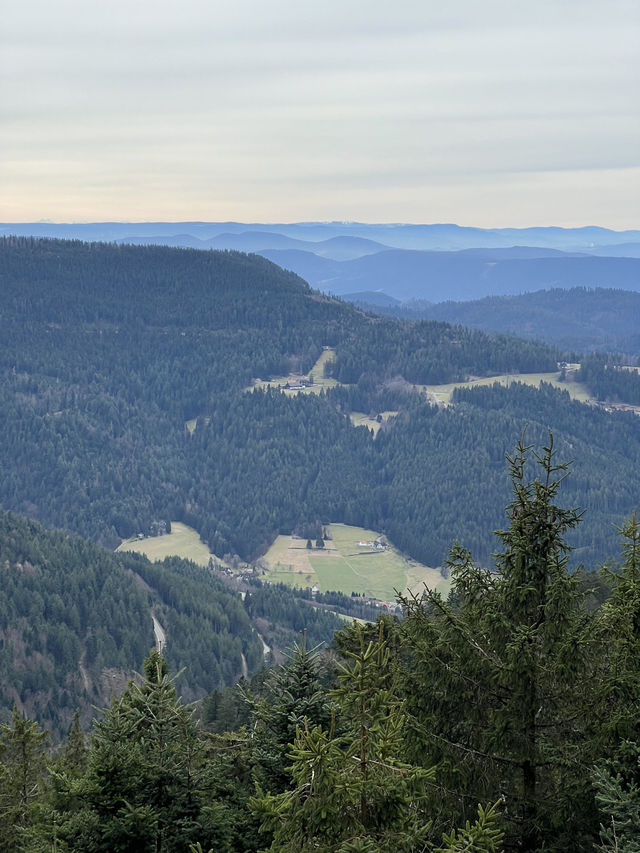 Schwarzwald: Where fairy tales are born and nature speaks in whispers of pine 🇩🇪🌲🏞️