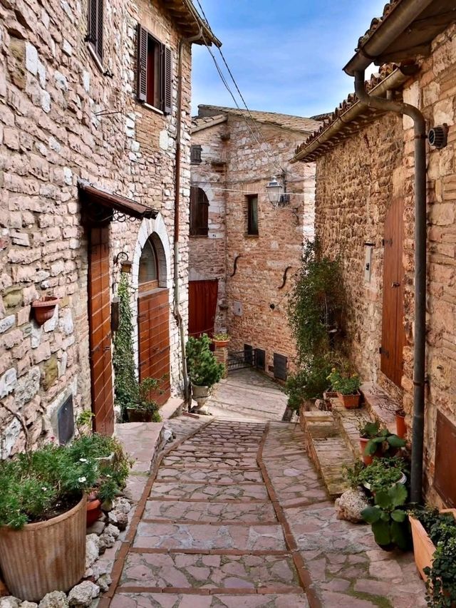  Whispers Among the Olive Trees – Collepino, Italy