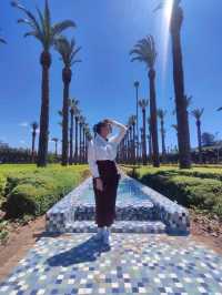 Hello Casablanca: Chaos, Calm, and Color