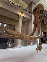 My Favourite Free Place In Cardiff, The Incredible National Museum Of Wales 
