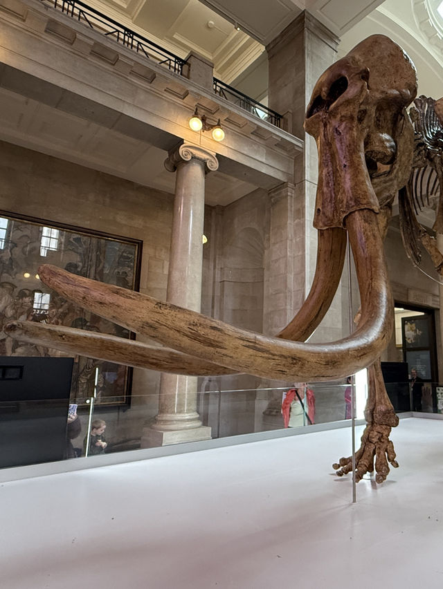 My Favourite Free Place In Cardiff, The Incredible National Museum Of Wales 