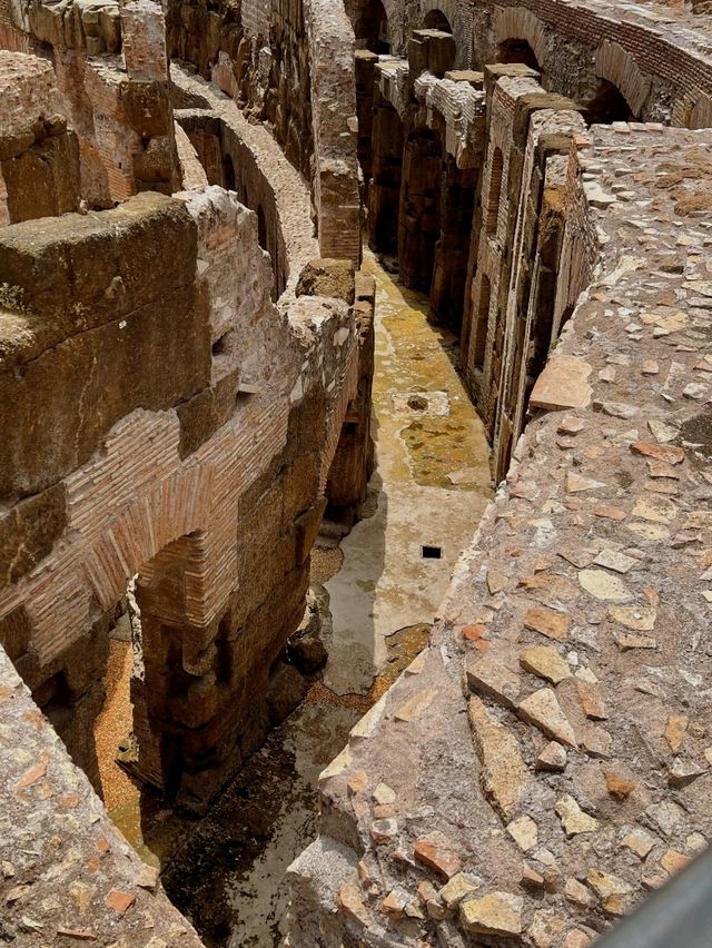🇮🇹 Exploring the Colosseum in Rome: A Journey Through Time 🏛️✨