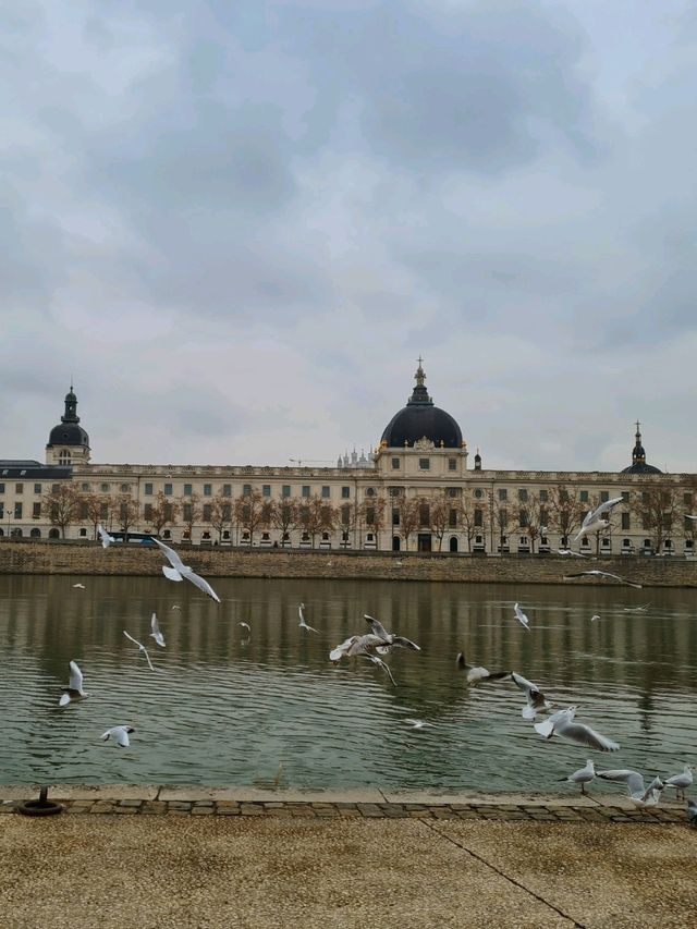 🇫🇷 Discover Lyon – The Food Capital of France
