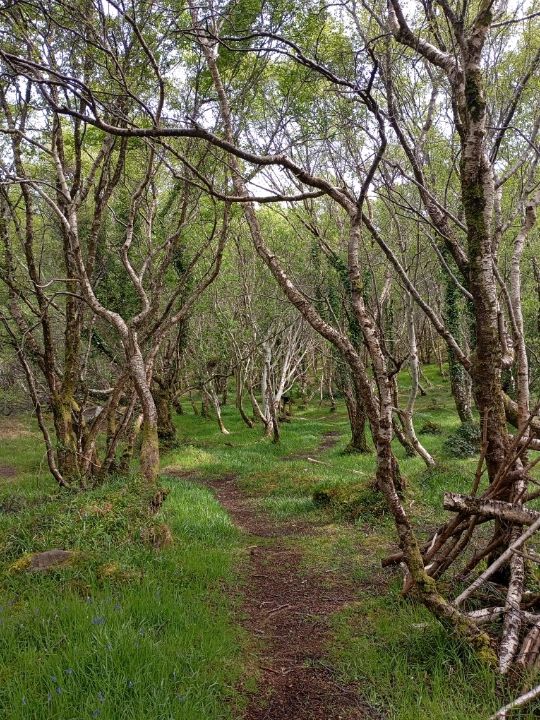 The Plock Kyle of Lochalsh 