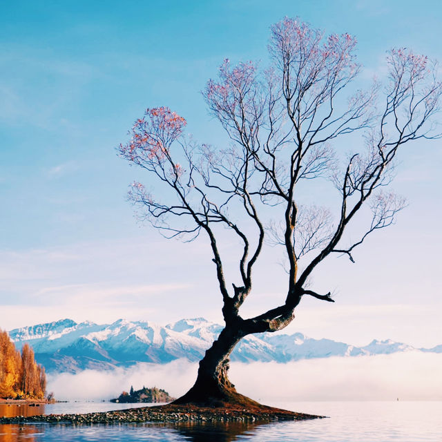 Cruising Through Middle-earth: New Zealand by Sea