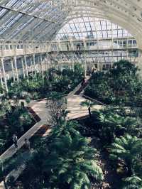 🌿 Kew Gardens: A Green Escape in London